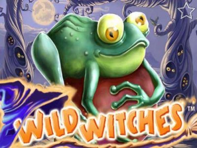 Wild Witches